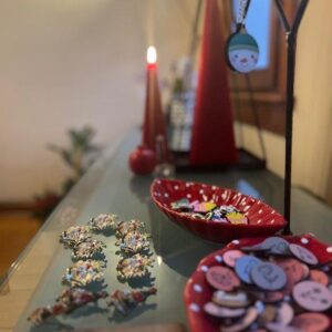 Edim_Ders_Evi (23)